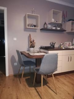 Studio Apartman Nevena - Vrnjačka Banja - 9