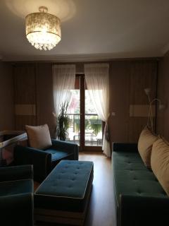 Studio Apartman Nevena - Vrnjačka Banja - 5