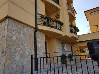 Studio Apartman Nevena - Vrnjačka Banja - 2
