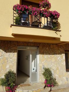 Studio Apartman Nevena - Vrnjačka Banja - 1