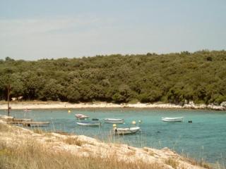 Casetta Olivetta - Šišan - 8