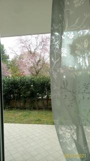 B&B IL NIDO - Cattolica - 2