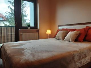 Academy Apartment Cieszyn - Cieszyn - 1