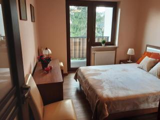 Academy Apartment Cieszyn - Cieszyn - 4