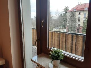 Academy Apartment Cieszyn - Cieszyn - 7