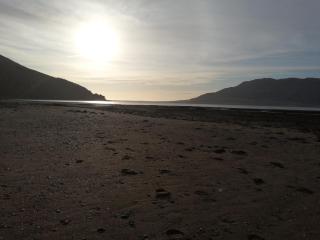 The Oystercatcher - Rostrevor - 9