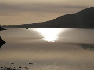 The Oystercatcher - Rostrevor - 8