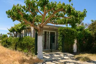 Petrakis Afrathias garden house - Kalamaki - 4