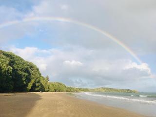 Doubtless Bay Retreat - 6