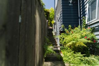 Doubtless Bay Retreat - 5