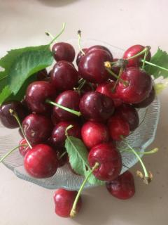 Cycle Inn Bed and Breakfast - 6