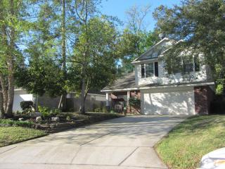 Relaxing 4 Bedroom Home - Conroe - 0