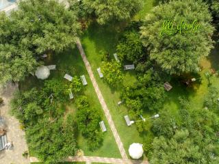 Fili d'Erba Cilento - Villammare - 5