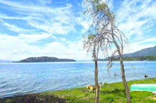 A orillas del lago, un espacio para tu tranquilidad - San Carlos de Bariloche - 8