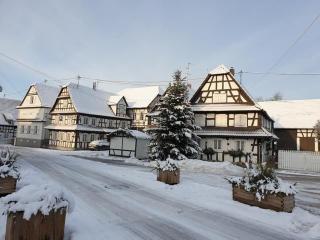 Quartier vert - Hunspach - 5