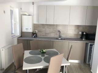 Elena-Maria Apartments - Buşteni - 8