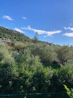 Studios Angeliki - Lassi - 1