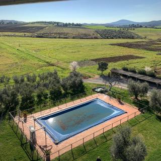 Agriturismo Il Puntoncino - 3