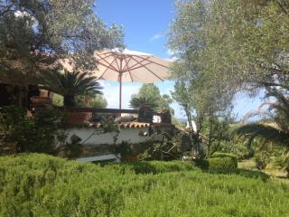 Villa Bella Vista - San Teodoro - 9