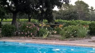 Mas Des Graviers - Pourrières - 4