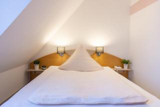 Hotel Alte Mühle - Chemnitz - 0