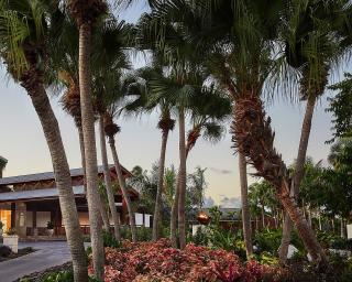 Four Seasons Resort Nevis - Nevis - 1