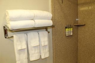 Holiday Inn Express Hotel & Suites Tucson Mall by IHG - Tucson - 5