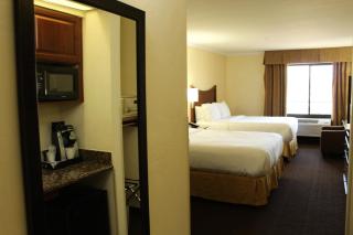 Holiday Inn Express Hotel & Suites Tucson Mall by IHG - Tucson - 4