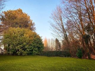 forrest - Holiday Home - Vakantiewoning - Ronse - 7