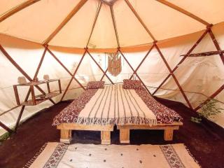 Eco glamping - Carpathians. Retreat hub Dzin Space - Verkhovyna - 5