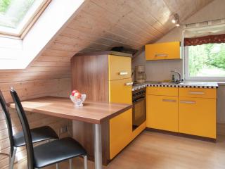 Apartment with forest in Goldisthal Thuringia - Goldisthal - 3