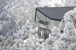 Absollut - Mount Hotham - 2