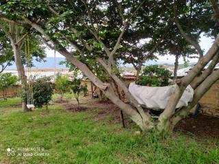 Cabaña Villa de Leyva - Villa Sofia Ritoque #1 - 8