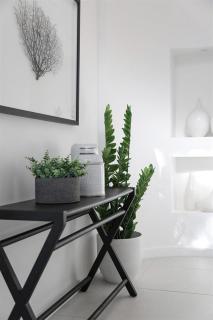 Hastings Park: Elegant Noosa Gem by the Beach - Noosa Heads - 8