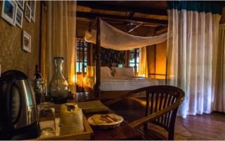 The Barefoot At Havelock - 3