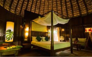 The Barefoot At Havelock - 8