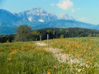 Fuchsbauernhof - Piding - 8