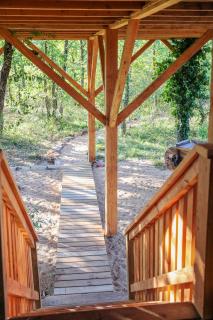 La Canopee - 2