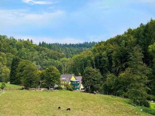 Siegelsbacher Muehle - - 9