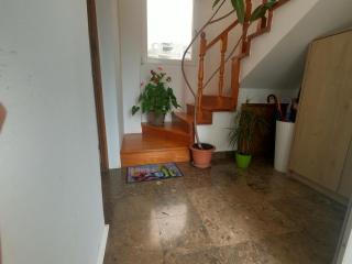 Rooms Jelena - Primošten - 9