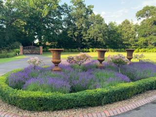Luxury Cottage & Spa - Guildford - 9