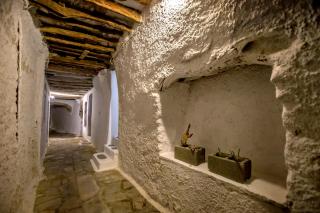 The Nest - 5