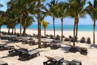 Catalonia Playa Maroma - All Inclusive - Playa del Carmen - 0