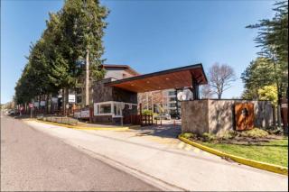 New Deluxe Apartment Pucon near Lake and Volcano - Pucón - 0
