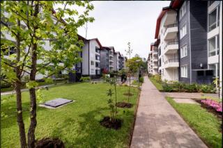 New Deluxe Apartment Pucon near Lake and Volcano - Pucón - 4