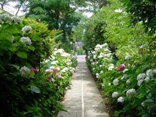 Residence Piccolo - 2