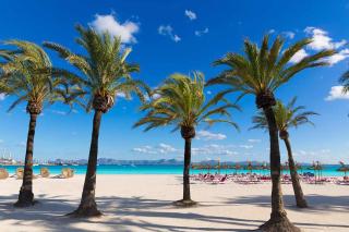 Apartment Paradise Bay 5 at Alcudia Beach, Salzes 5 - Alcúdia - 6