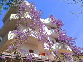 Residence Piccolo - Milano Marittima - 2