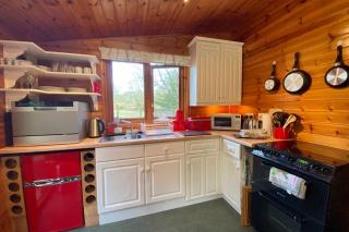 The Cabin at The Oaks - Fordingbridge - 2