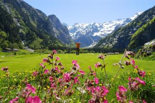 Hotel Regina Titlis, a Trademark Collection by Wyndham - 1